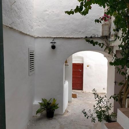 El Algarrobillo Apartman Vejer de la Frontera Kültér fotó